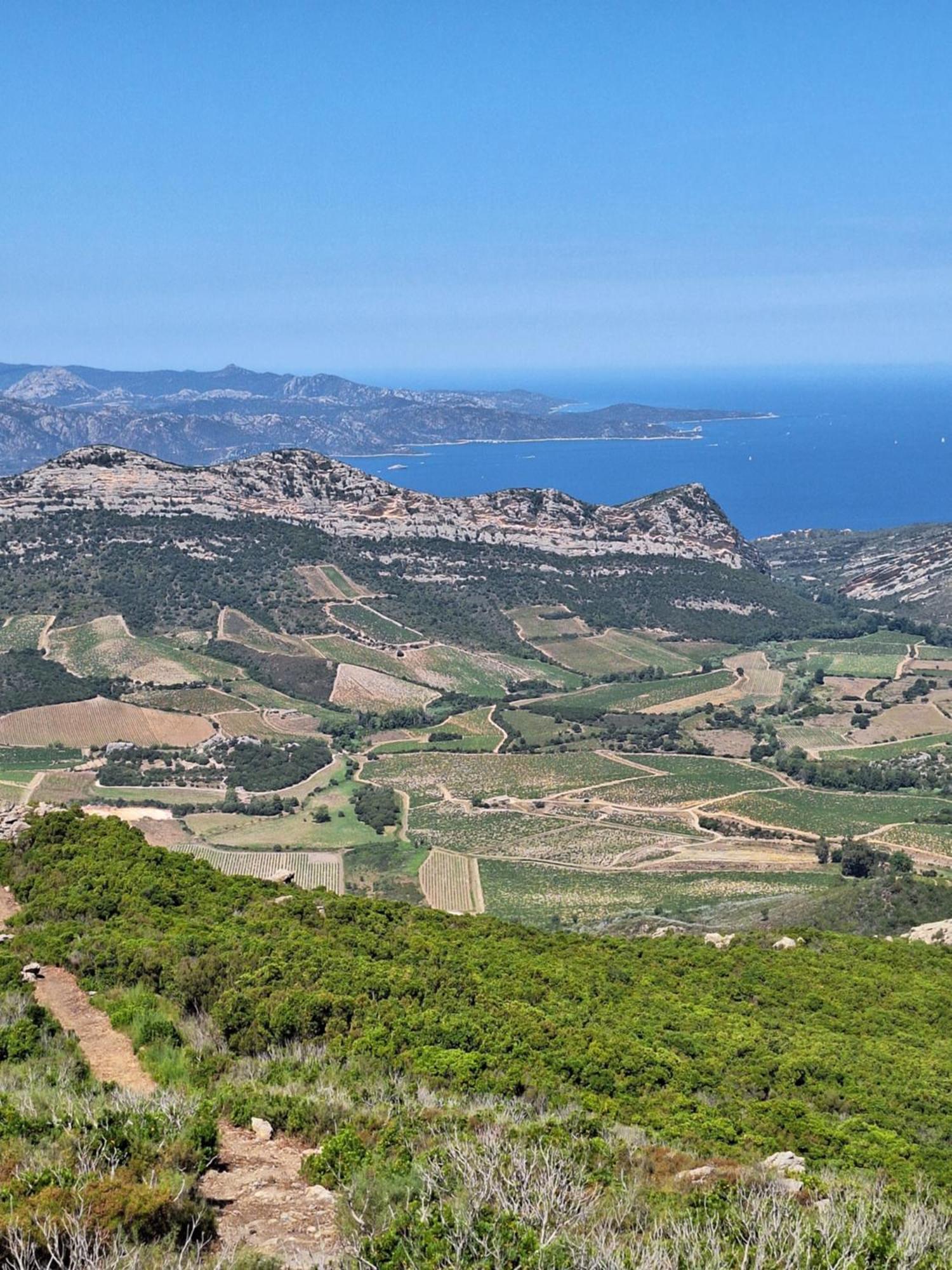 Le Clos Osteria Barbaggio ภายนอก รูปภาพ